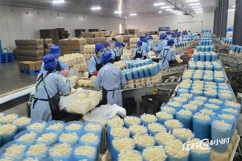 工廠化種植食用菌供應(yīng)市場