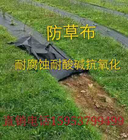 【濮陽(yáng)市2020年編織袋果園防草布廠家除草布批發(fā)】- 